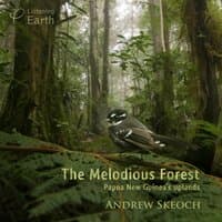 The Melodious Forest - Papua New Guinea's Uplands