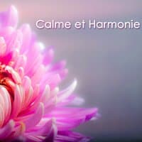 Calme et Harmonie – Musique douce détente et sommeil