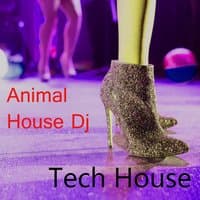 Tech House