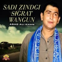 Sadi Zindgi Sigrat Wangun - Single