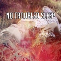 No Troubled Sleep