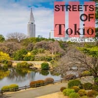 Streets Of - Tokio, Vol. 2