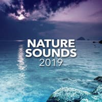 Nature Sounds 2019