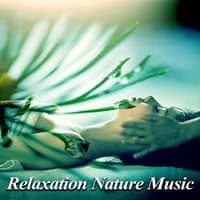 Relaxation Nature Music – New Age for Spa, Serenity Music for Background, Pure Relaxation, Wellness, Pure Instrumental Sounds