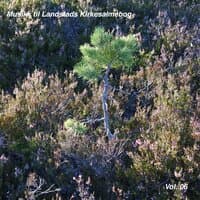 Musikk til Landstads Kirkesalmebog Vol. 06