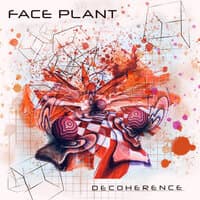 Decoherence