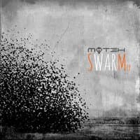 Swarm EP