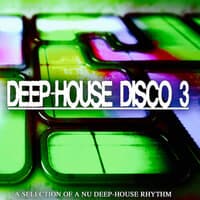 Deep-House Disco, 3 (A Selection of a Nu Deep-House Rhythm)