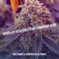 Dubplate Hemporizer My Canarian Herb