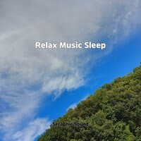 Relax Music Sleep