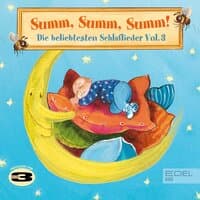 Summ, Summ, Summ! - Die beliebtesten Schlaflieder, Vol. 3