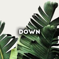 Down