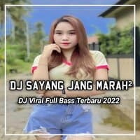 DJ Sayang Tolong Jang Marah Marah - Inst