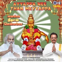 Ayyappa Nee Than Meyyappa