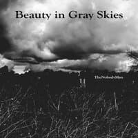 Beauty in Gray Skies