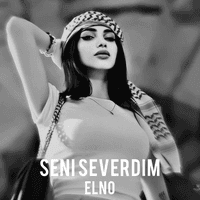 Seni Severdim