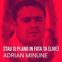 Stau Si Plang in Fata Ta