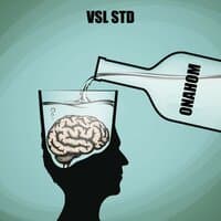 Vsl Std