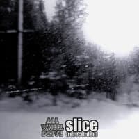 Slice (Rerecorded)