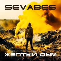 SEVABES