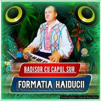 Badisor cu capul sur