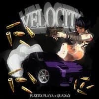 Velocity