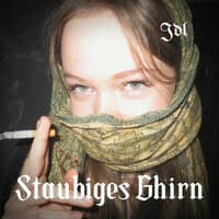 Staubiges Ghirn