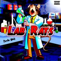 Lab Rats