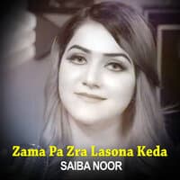 Zama Pa Zra Lasona Keda I Saiba Noor