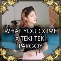 DJ What You Come X Teki Gan Pargoy