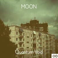 Quantum Void