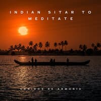 Indian Sitar to Meditate