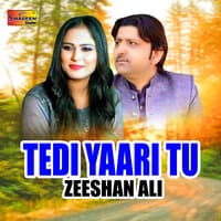 Tedi Yaari Tu