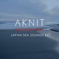 SONUSGRAPHIA / JAPAN SEA SOUNDS #2(豊橋伊古部海岸の音)