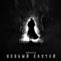 Особый случай