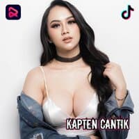 DJ CINTA TASIK MALAYA