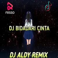 DJ BIDADARI CINTA