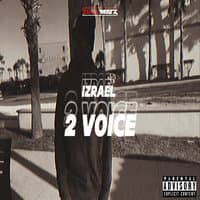 2 Voice