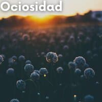 Ociosidad