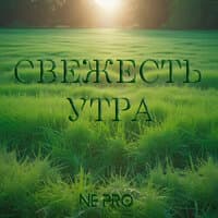 Свежесть утра