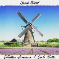 Sweet Wind