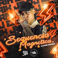 Sequencia Magnetica Slowed + Reverb