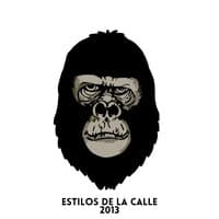 Estilos de la Calle