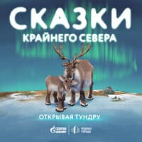 Сказки Крайнего Севера. «Открывая тундру»