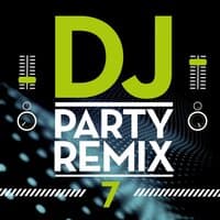 DJ Party Remix, Vol. 7