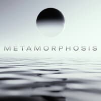 metamorphosis