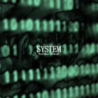 System