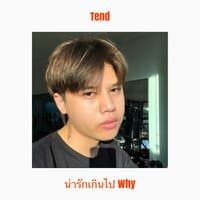 น่ารักเกินไป ( Why )