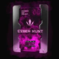 Сyber Hunt