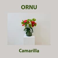 Camarilla